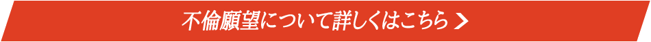 ＜ 不倫願望 ＞について