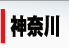 神奈川 デリヘル